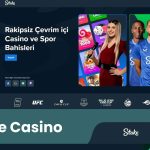 Stake Casino