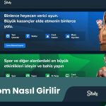 Stake.Com Nasıl Girilir