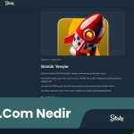 Stake.Com Nedir