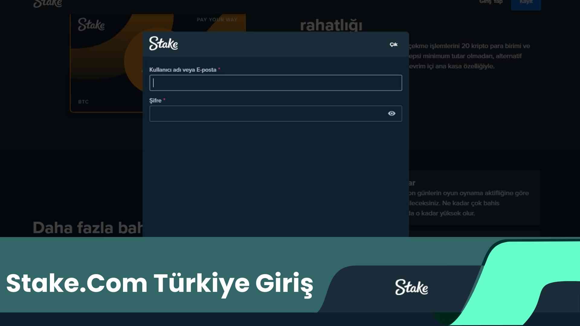 Stake.Com Türkiye Giriş