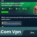 Stake.Com Vpn