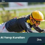 Stake.Com At Yarışı Kuralları