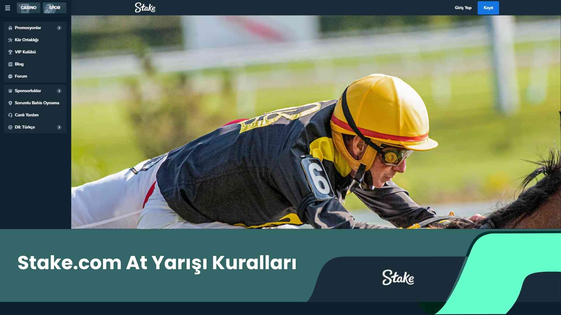 Stake.Com At Yarışı Kuralları