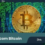 Stake.Com Bitcoin