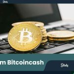 Stake.Com Bitcoincash