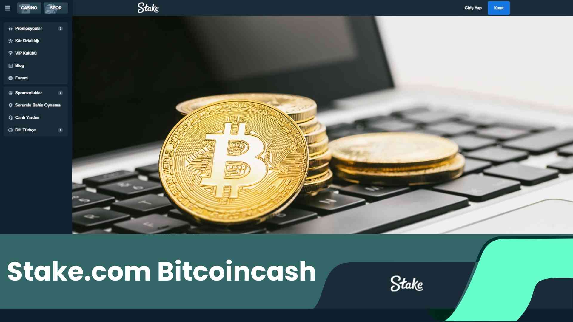 Stake.Com Bitcoincash