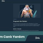Stake.Com Canlı Yardım