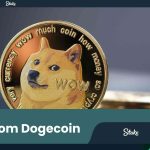Stake.Com Dogecoin
