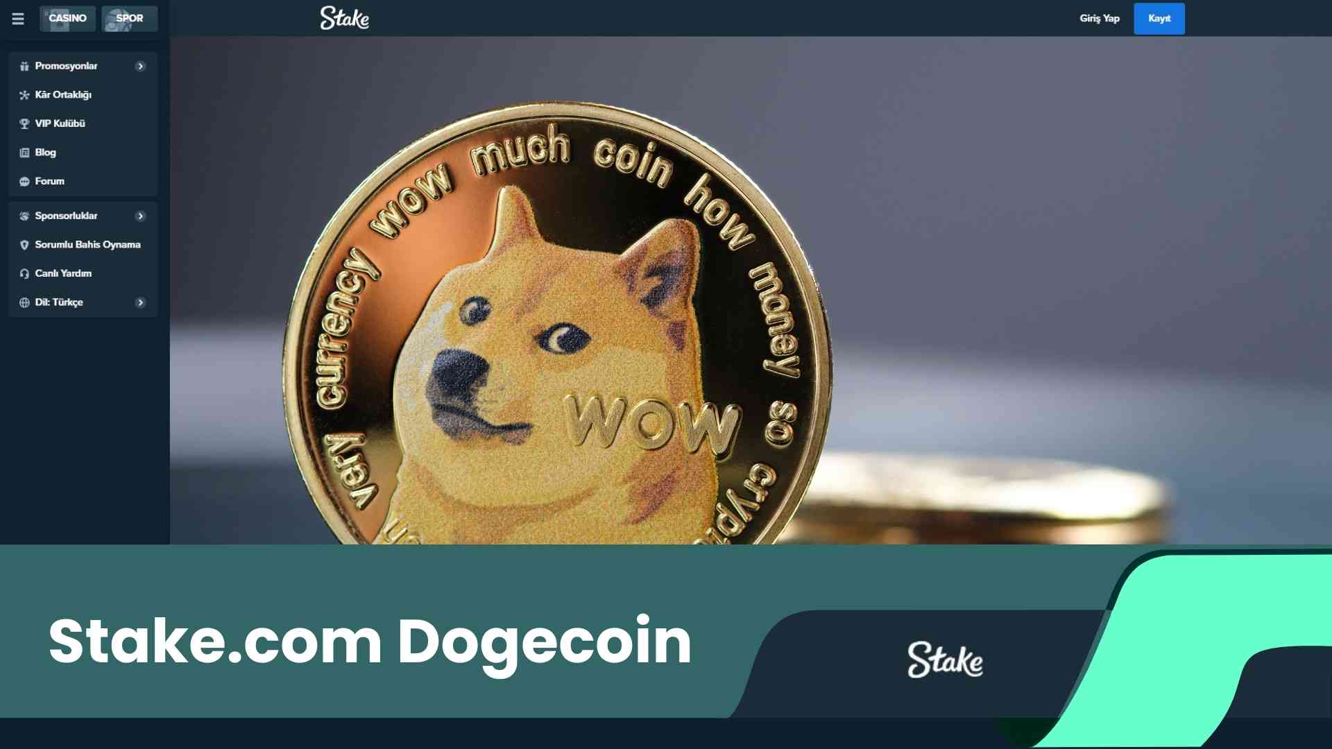 Stake.Com Dogecoin