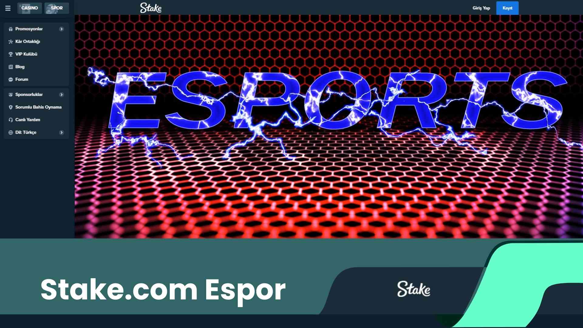 Stake.Com Espor