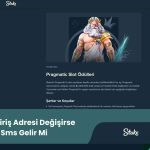 Stake.com Giriş Adresi Değişirse Bana Sms Gelir Mi