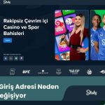 Stake.com Giriş Adresi Neden Değişiyor