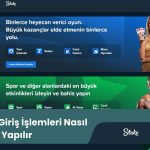 Stake.com Giriş işlemleri Nasıl Yapılır