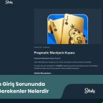 Stake.com Giriş Sorununda Yapılması Gerekenler Nelerdir