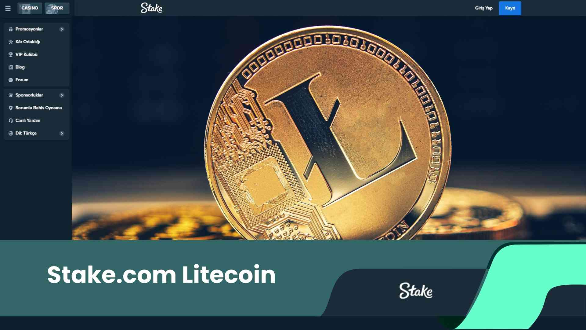 Stake.Com Litecoin