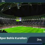 Stake.Com Spor Bahis Kuralları