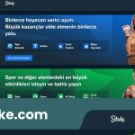 Stake.Com